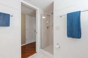 Etched shower door