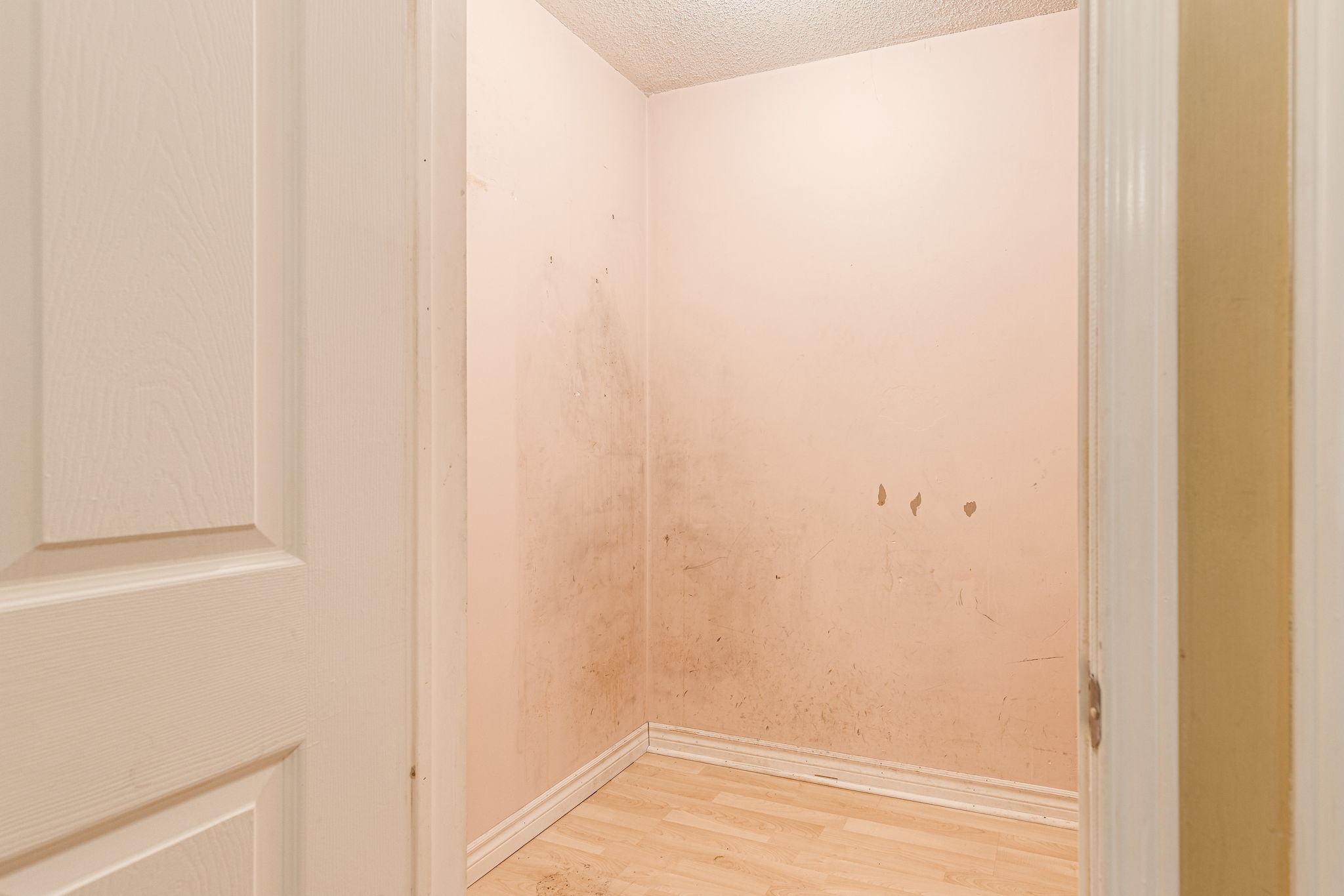 Mississauga property showcase — delivered property photograph 20