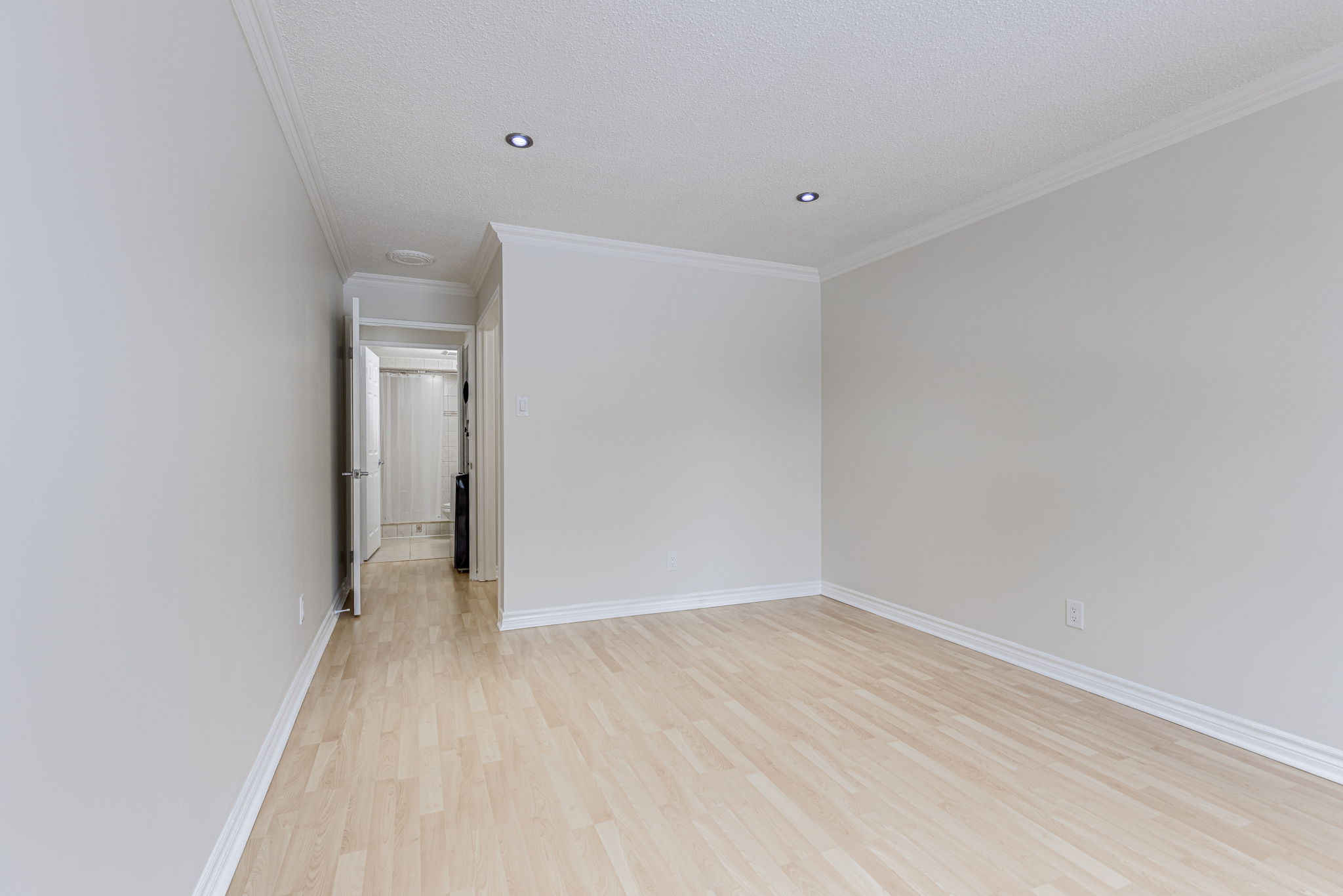 Mississauga property showcase — delivered property photograph 20