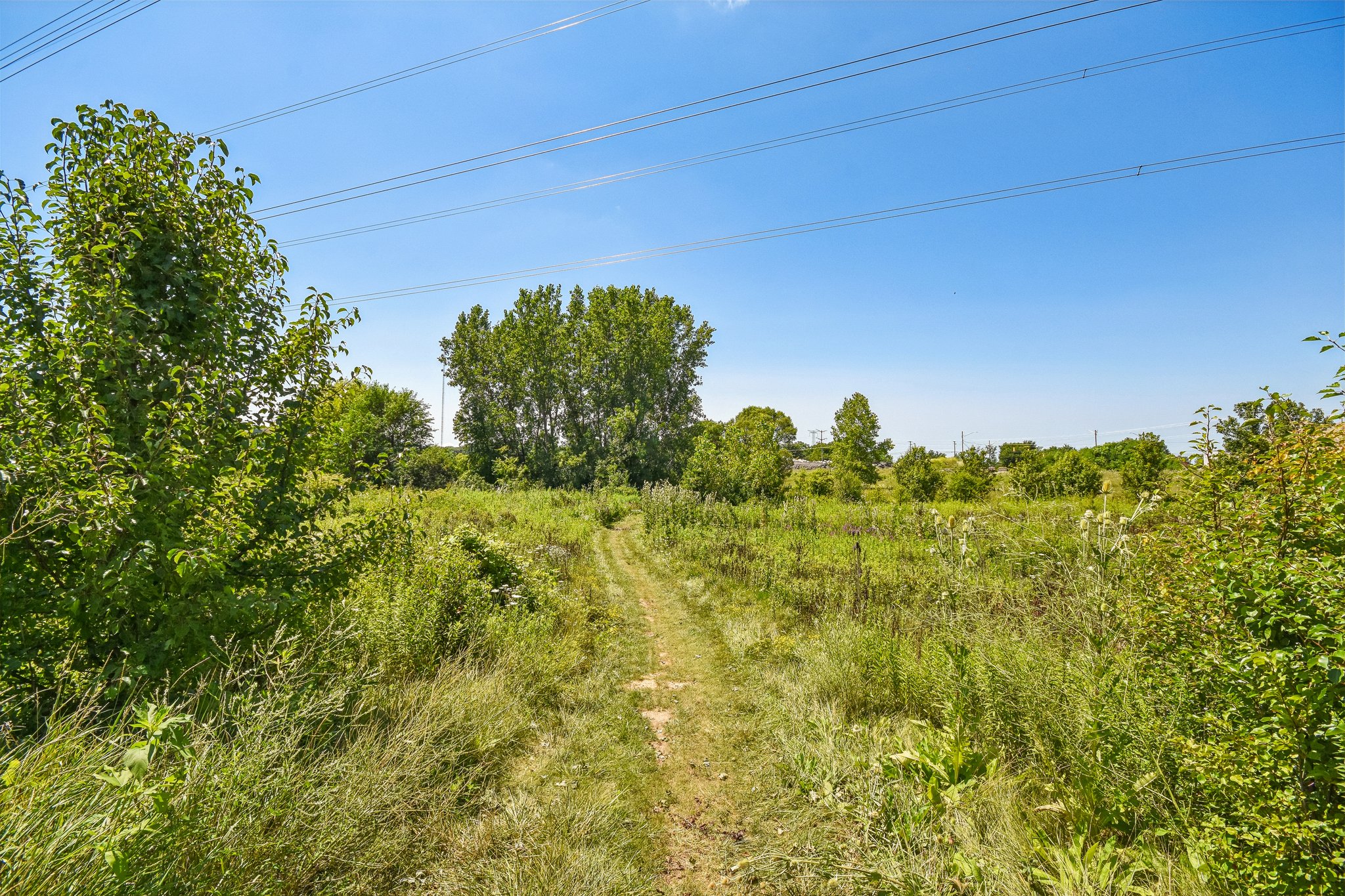 Carlton Ln-3007-905.jpg