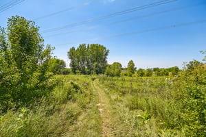Carlton Ln-3007-905.jpg