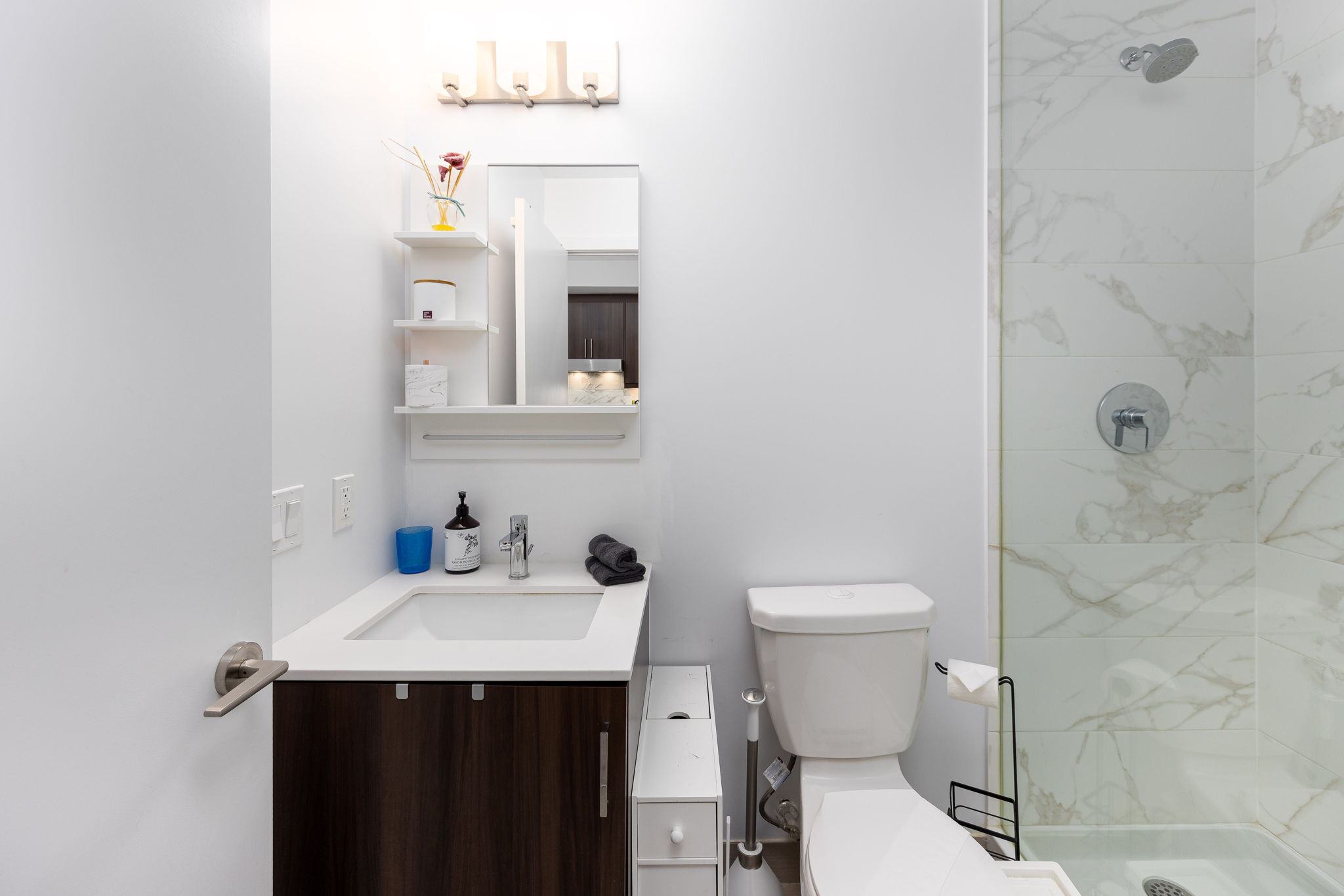 Toronto property showcase — delivered property photograph 10