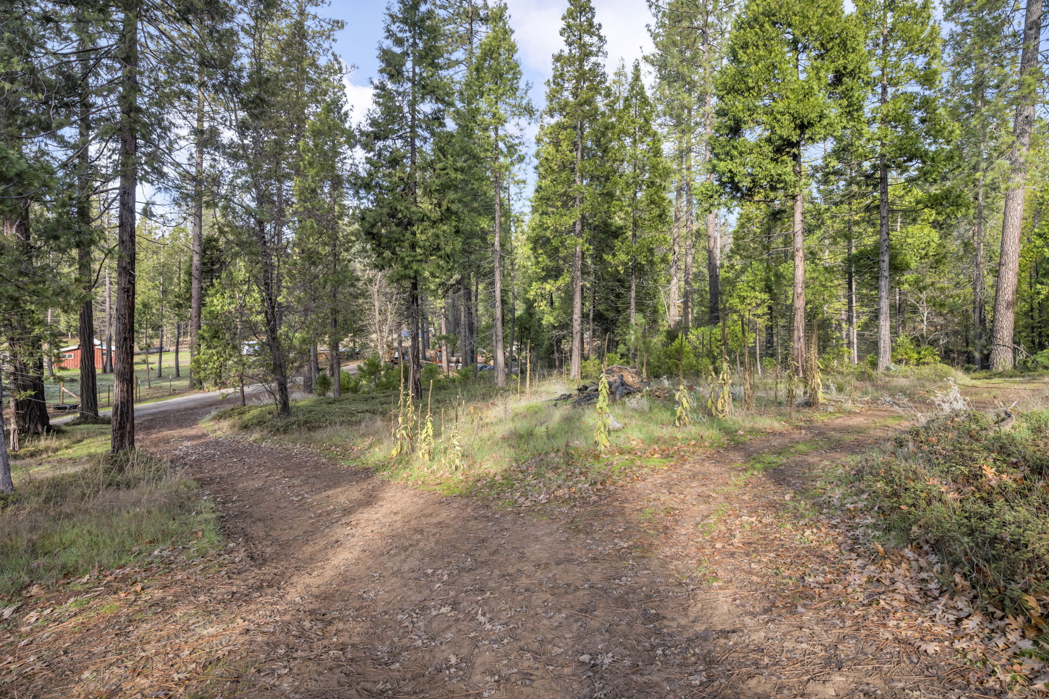 10-web-or-mls-1486-prussian-hill-rd