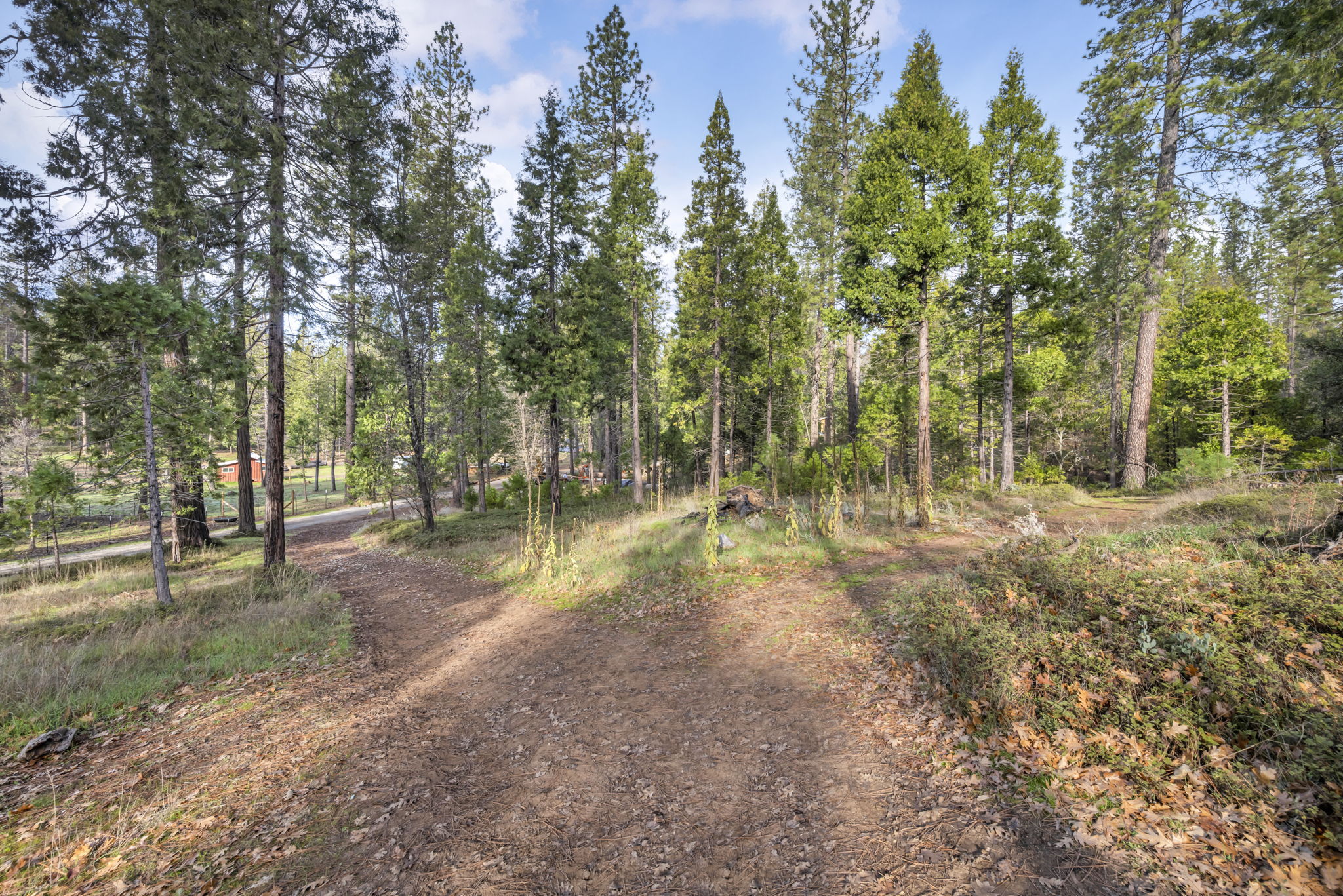 11-web-or-mls-1486-prussian-hill-rd