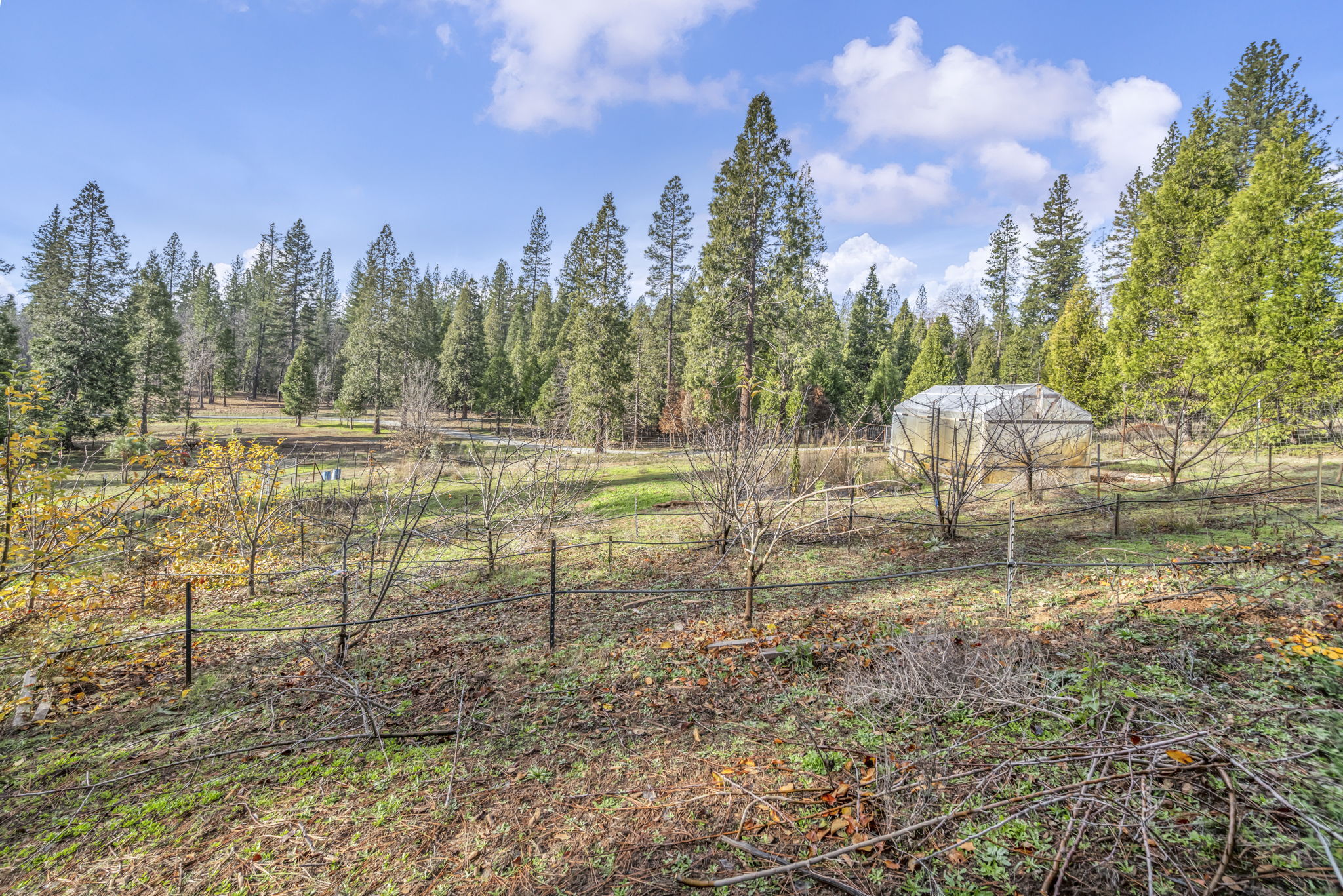 27-web-or-mls-1486-prussian-hill-rd