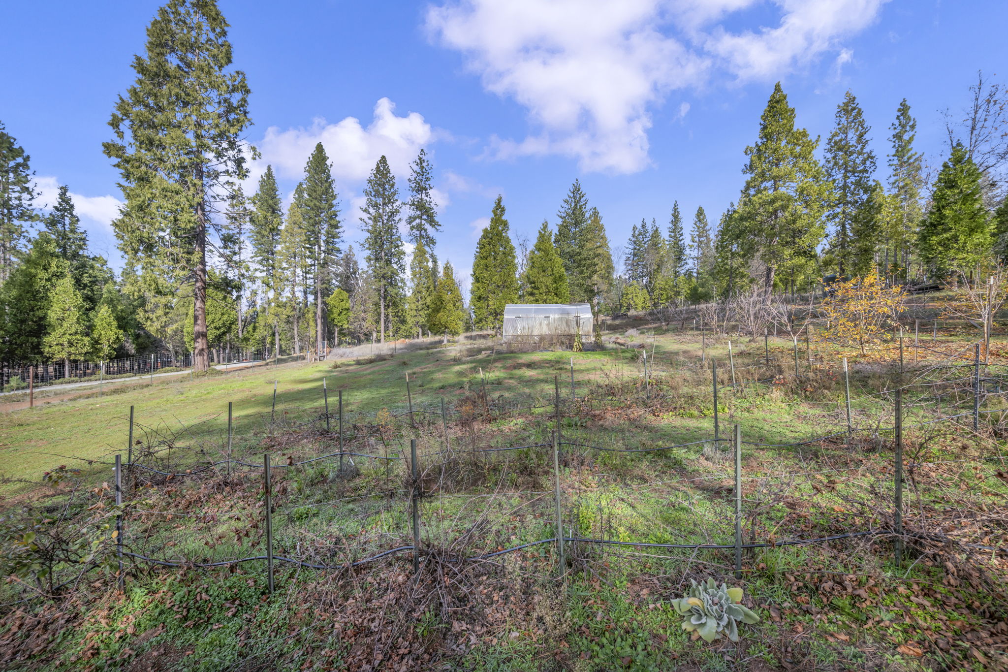 30-web-or-mls-1486-prussian-hill-rd
