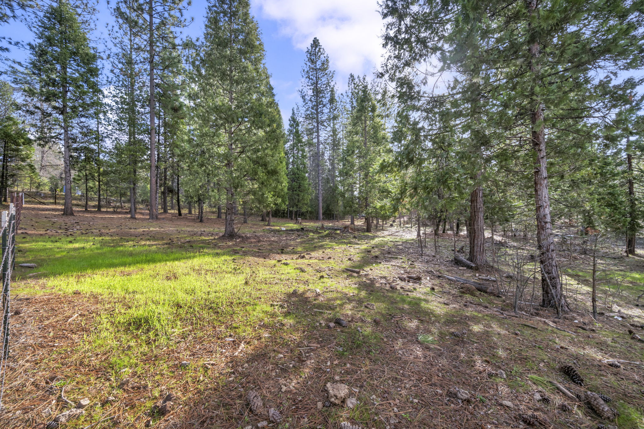 31-web-or-mls-1486-prussian-hill-rd