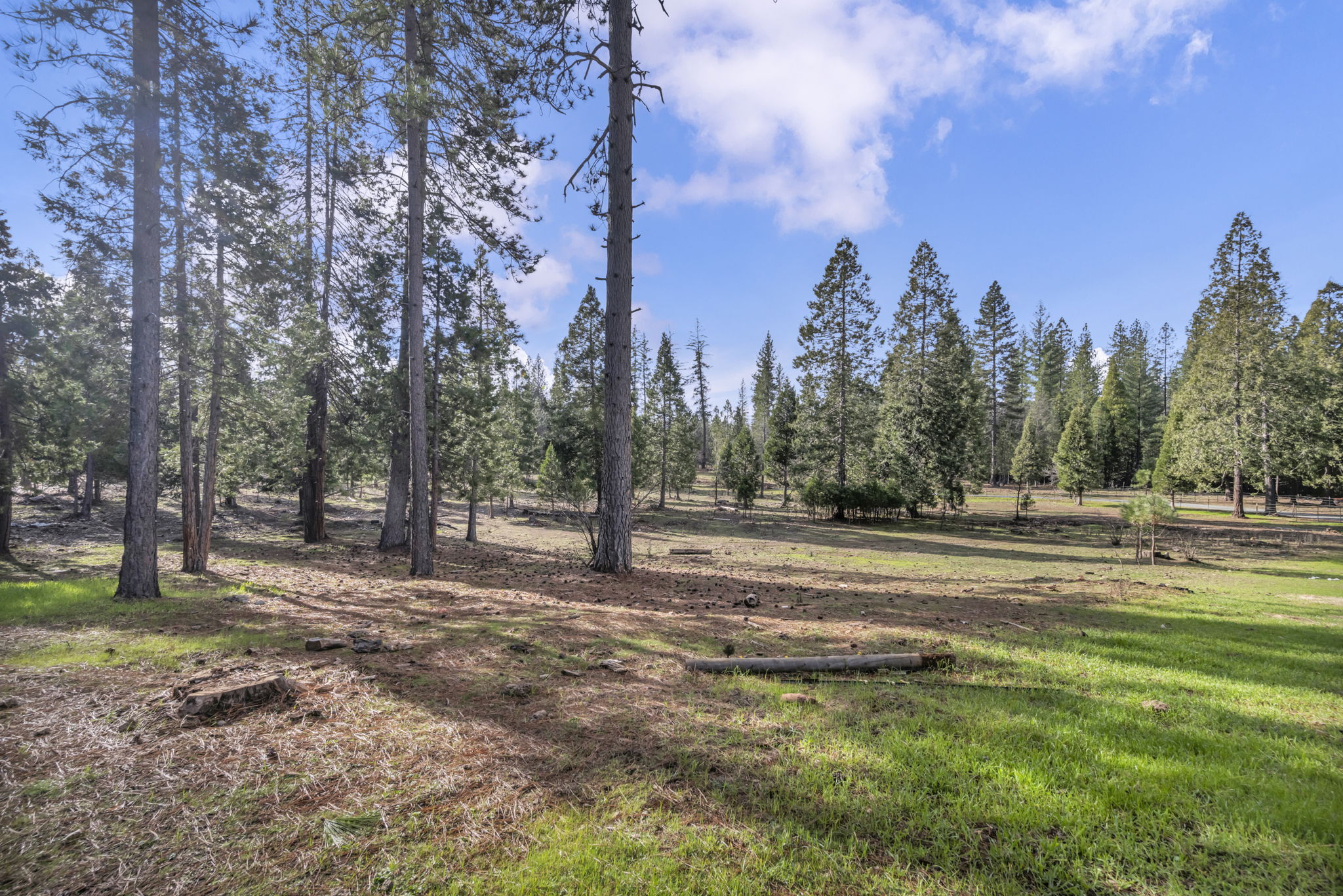 32-web-or-mls-1486-prussian-hill-rd
