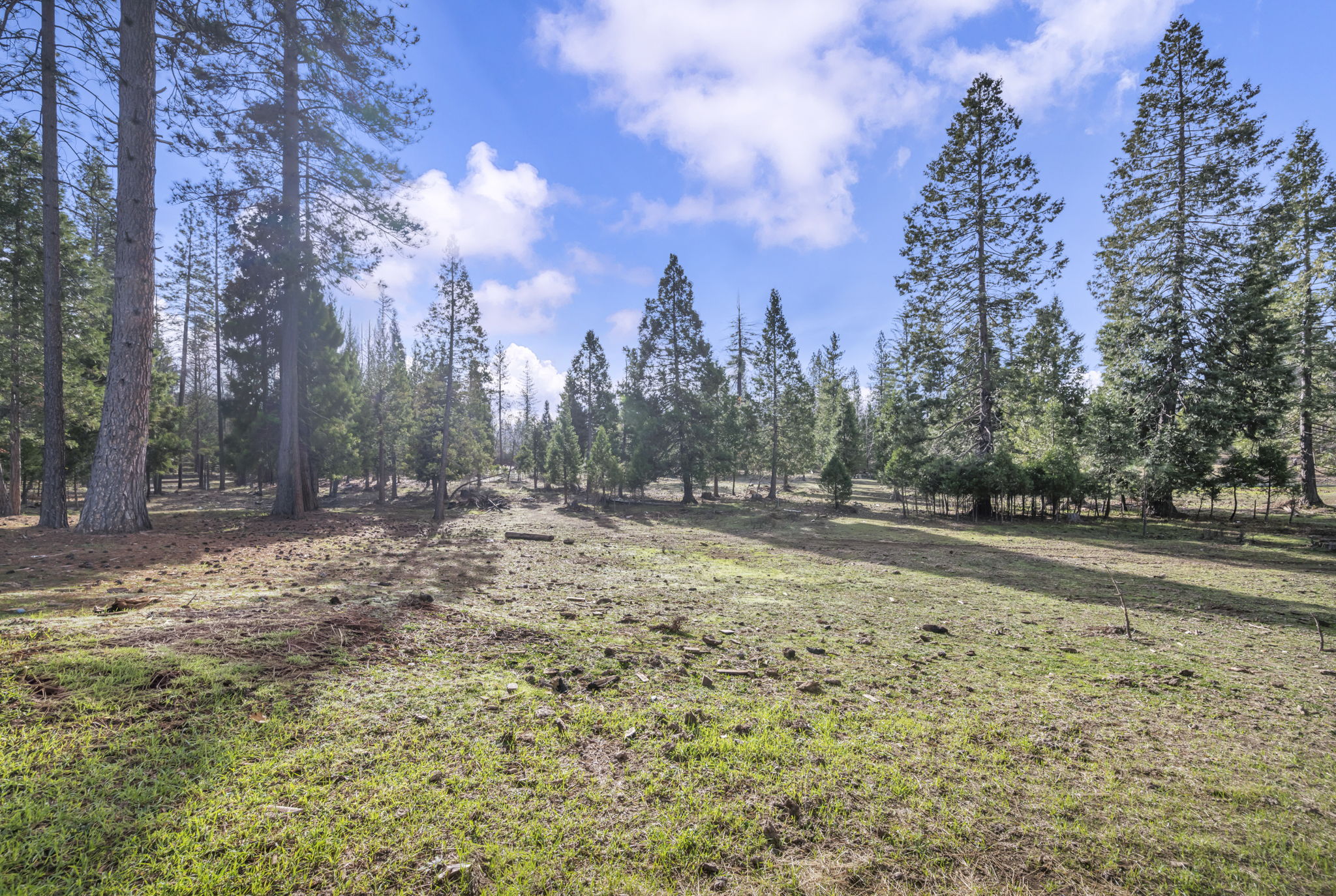 34-web-or-mls-1486-prussian-hill-rd