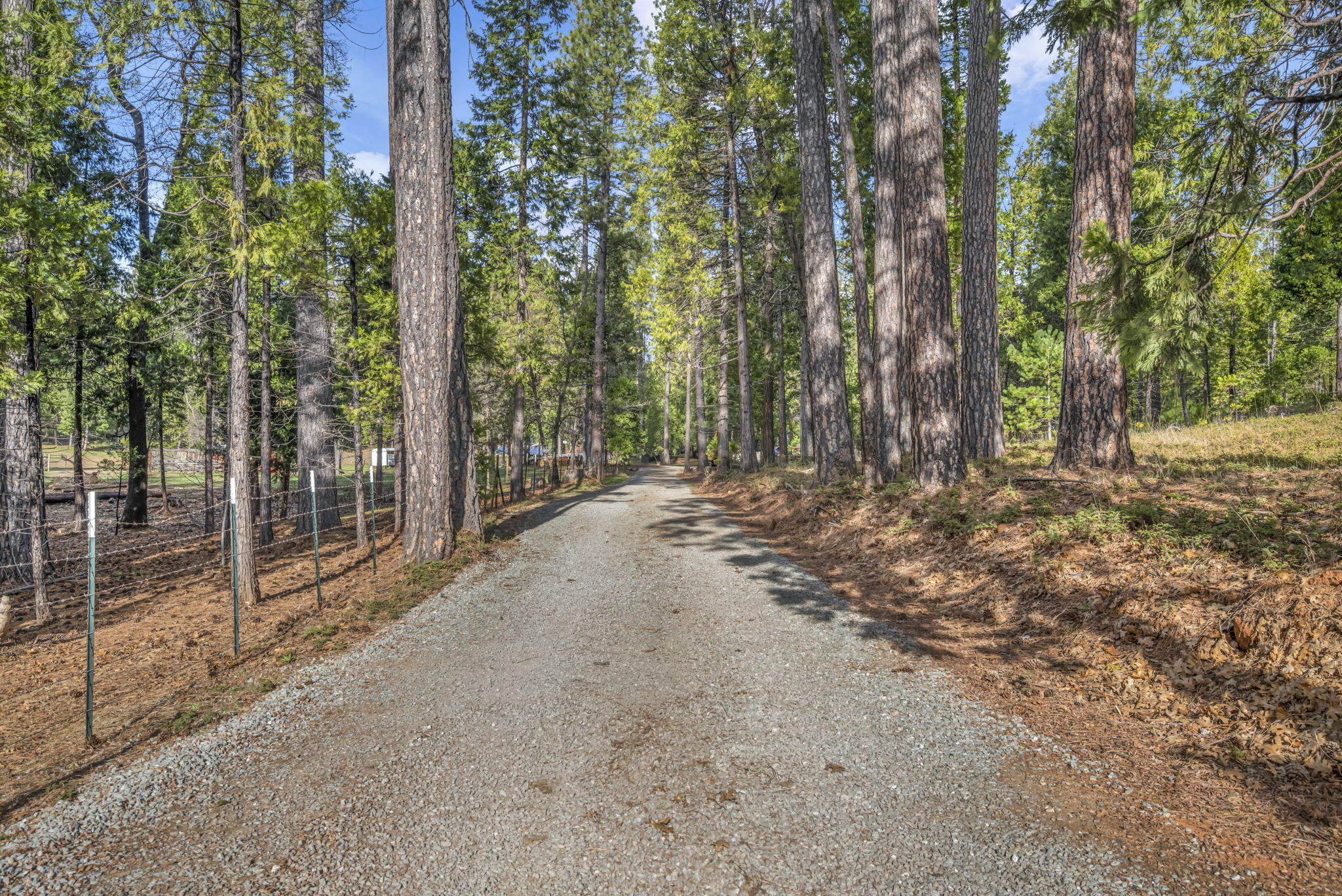 38-web-or-mls-1486-prussian-hill-rd