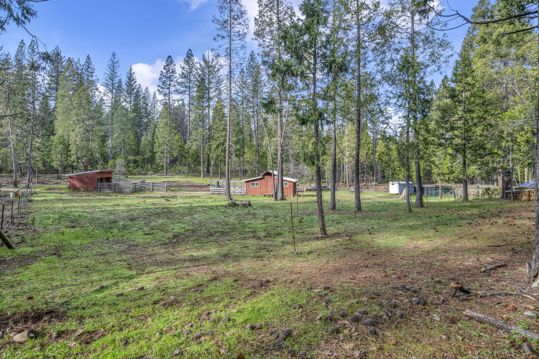 39-web-or-mls-1486-prussian-hill-rd