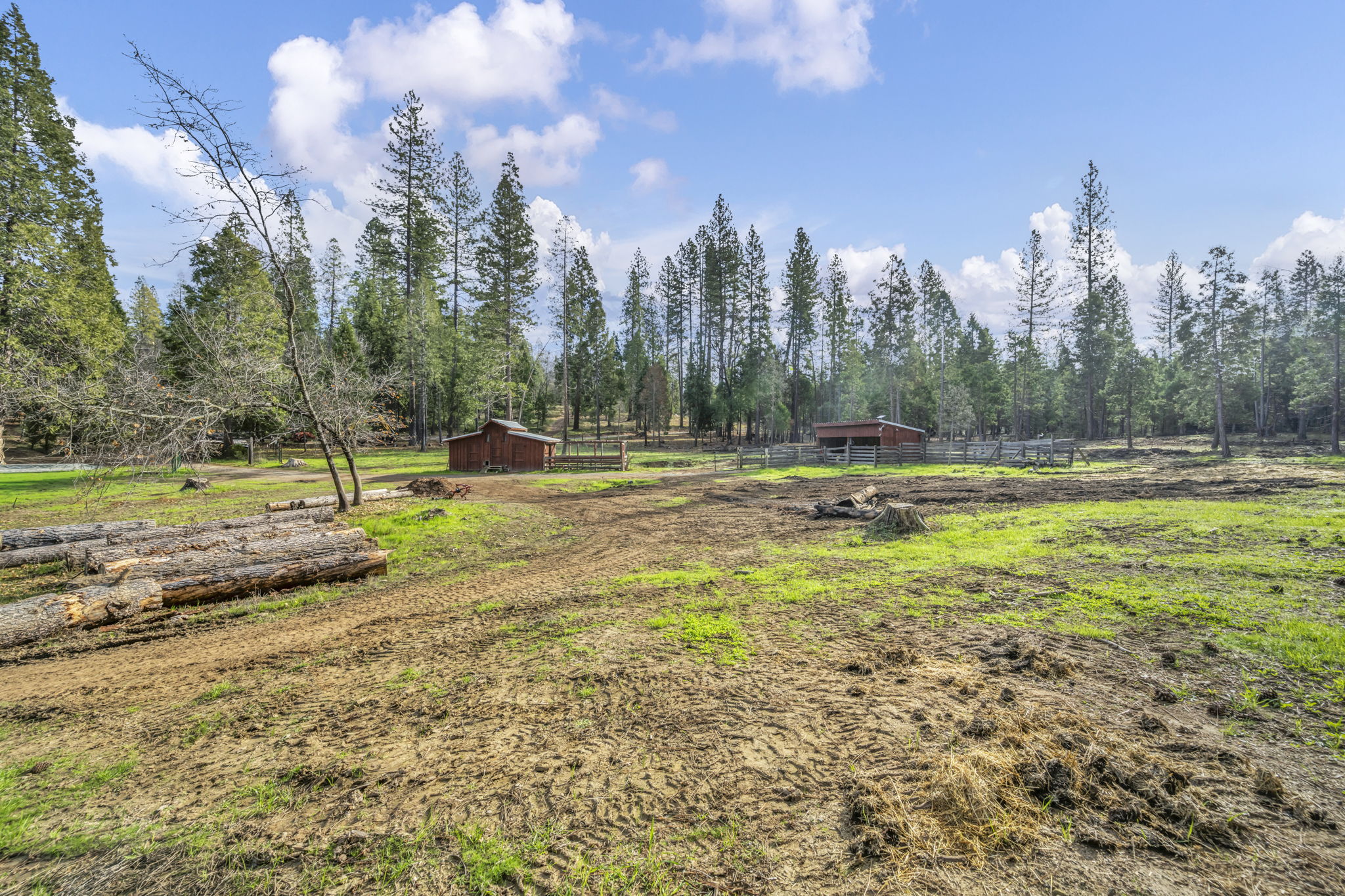 55-web-or-mls-1486-prussian-hill-rd