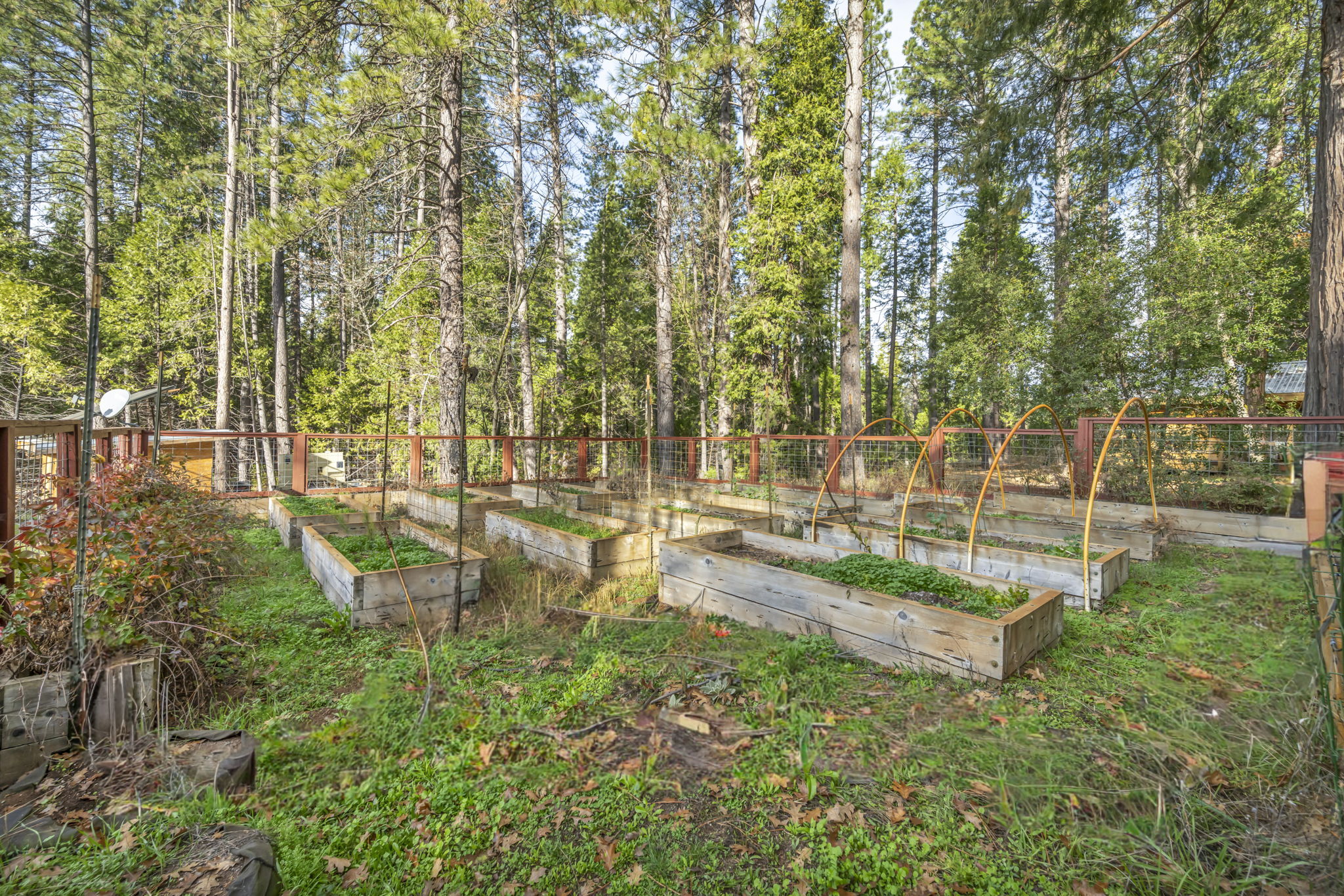 155-web-or-mls-1486-prussian-hill-rd