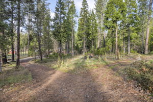10-web-or-mls-1486-prussian-hill-rd