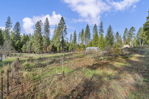 29-web-or-mls-1486-prussian-hill-rd