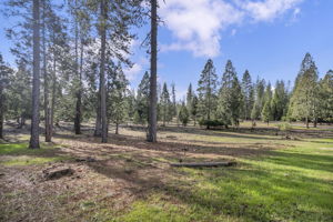 32-web-or-mls-1486-prussian-hill-rd