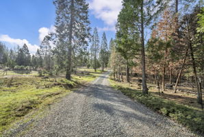 35-web-or-mls-1486-prussian-hill-rd
