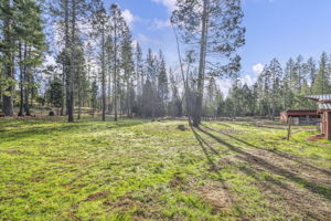 59-web-or-mls-1486-prussian-hill-rd