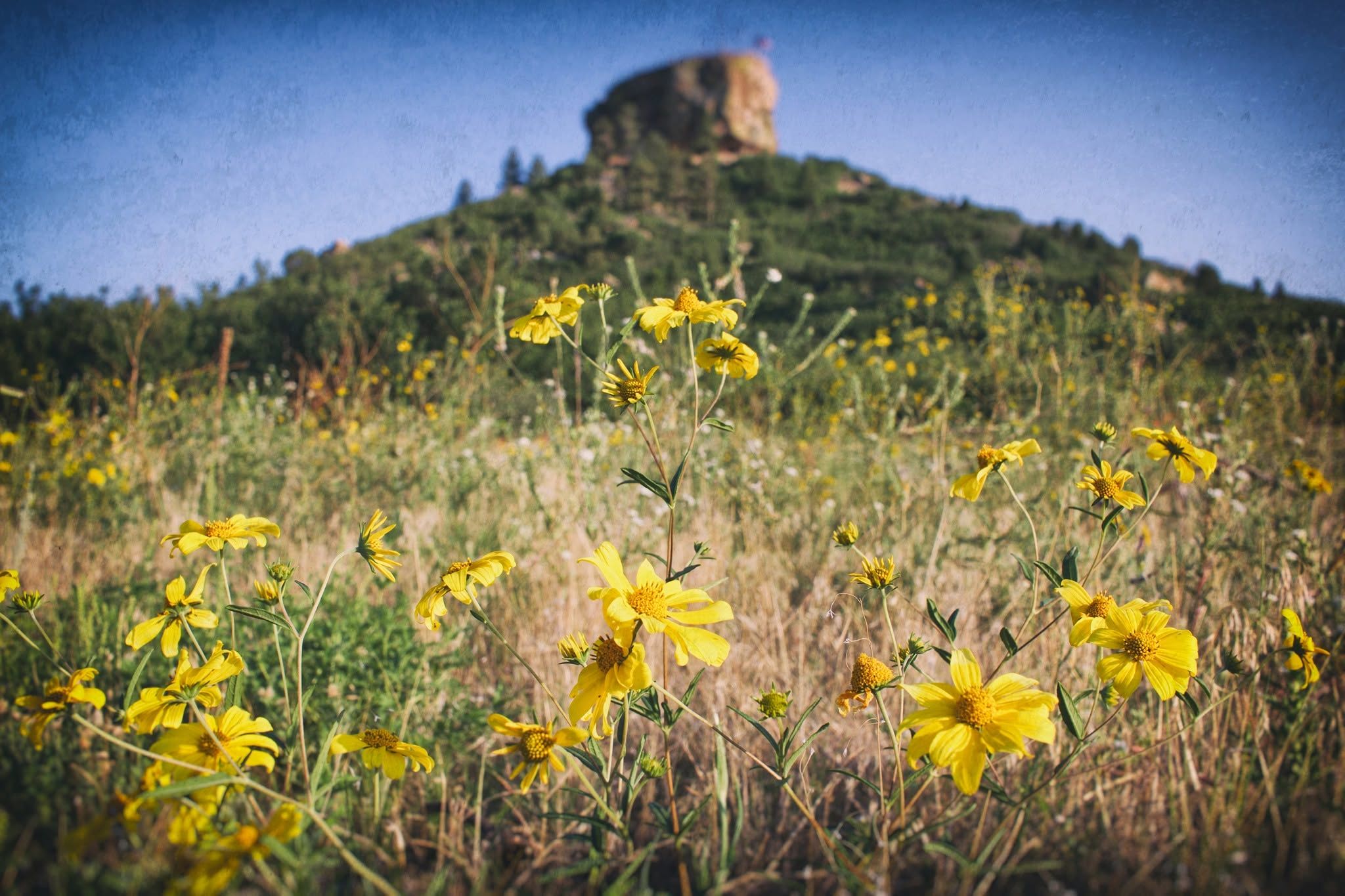 Castle "Rock"