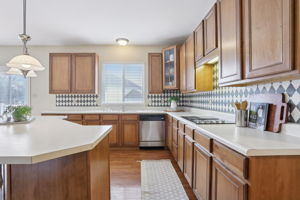 1487 Fenway Dr-015