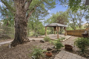 Backyard 2