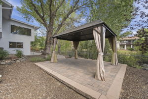 Backyard 3