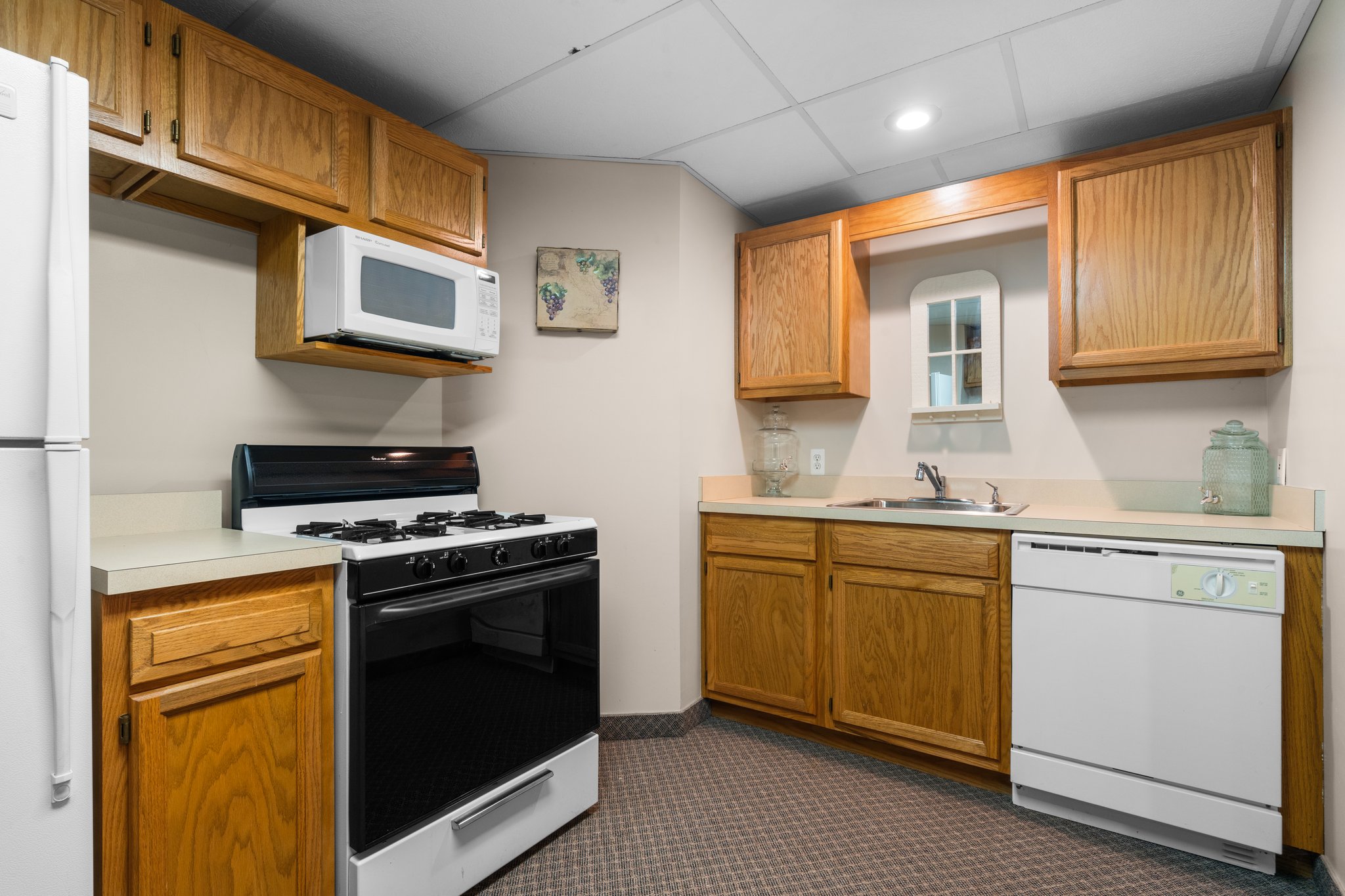 2nd Kitchen in Lower Level