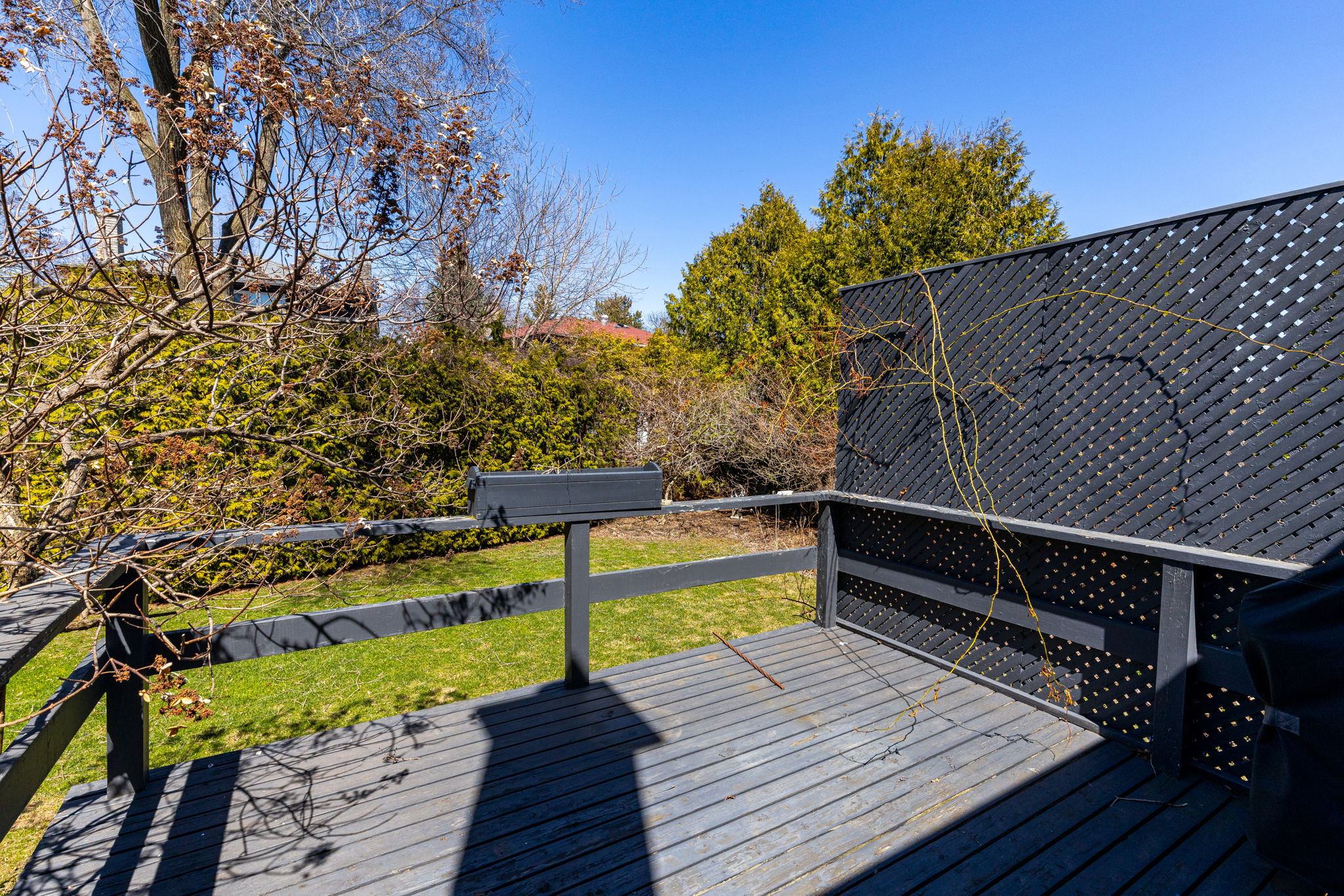 Richmond Hill property showcase — delivered property photograph 37