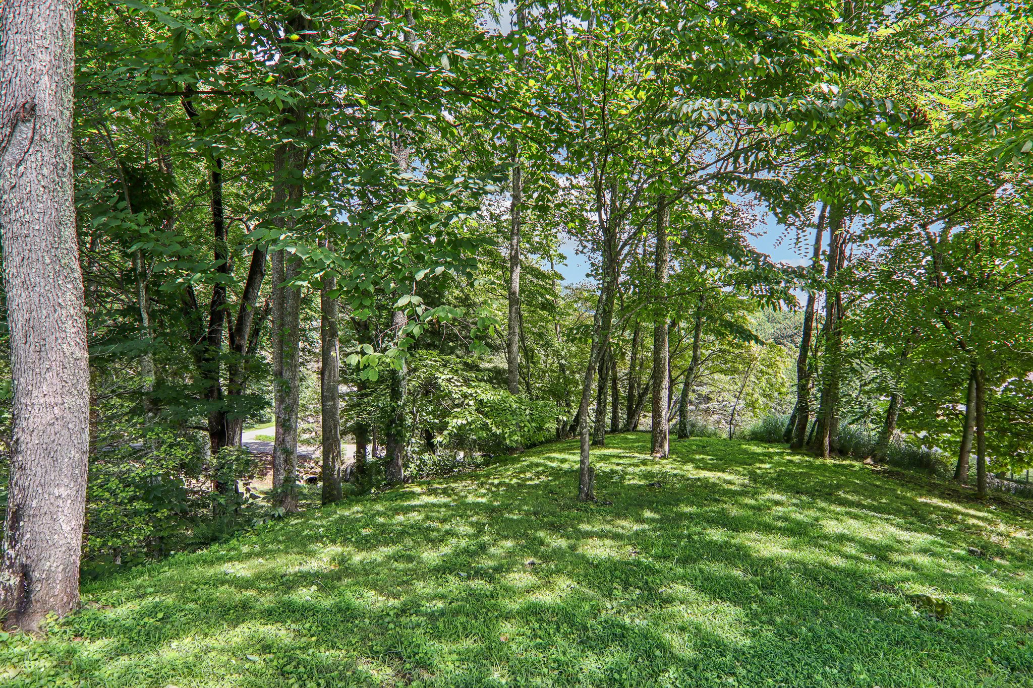 Cardinal Ln-S0708-029.jpg