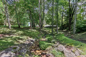 Cardinal Ln-S0708-028.jpg