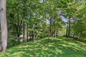 Cardinal Ln-S0708-029.jpg