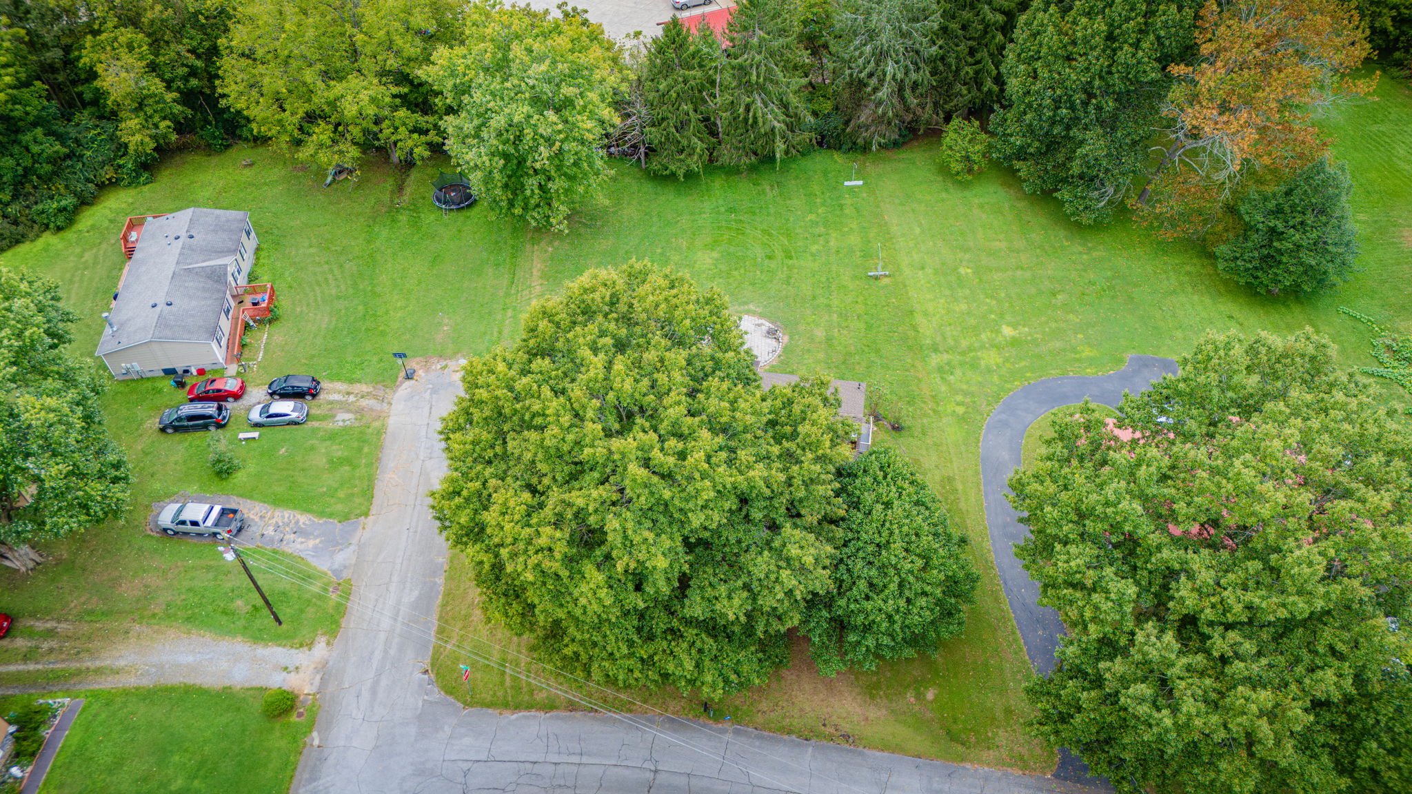 101
