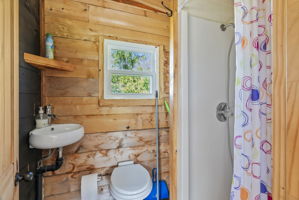  Photo 43