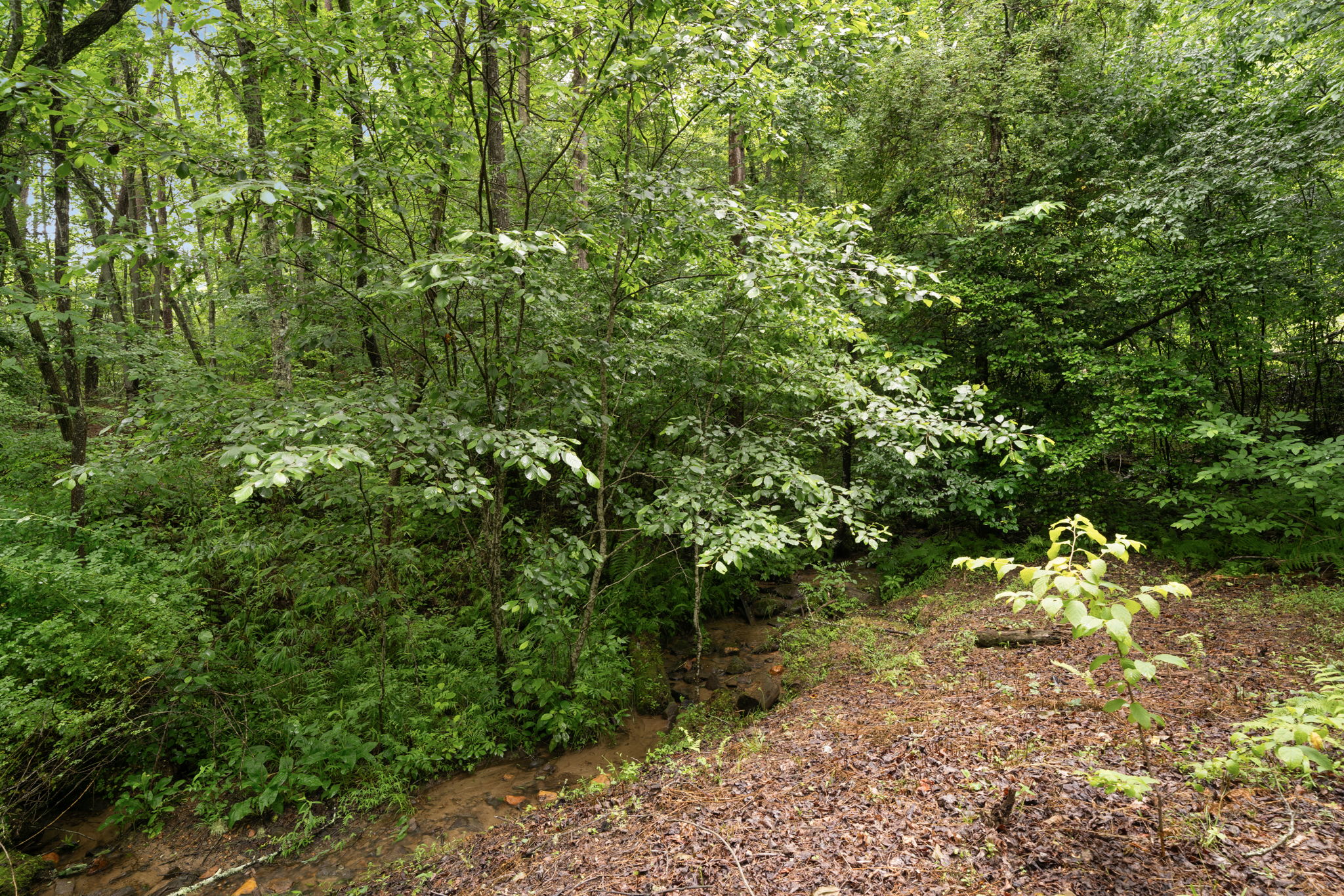  Photo 47