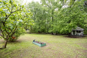  Photo 36