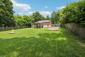  Photo 41