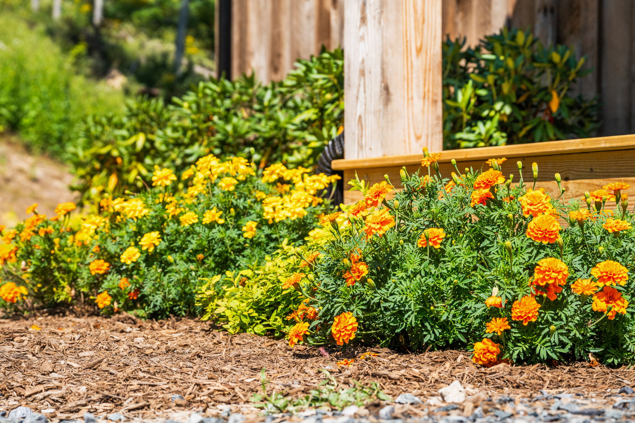  Photo 37