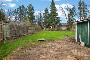  Photo 51