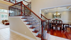  Photo 60