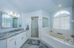 Primary Bathroom 1a