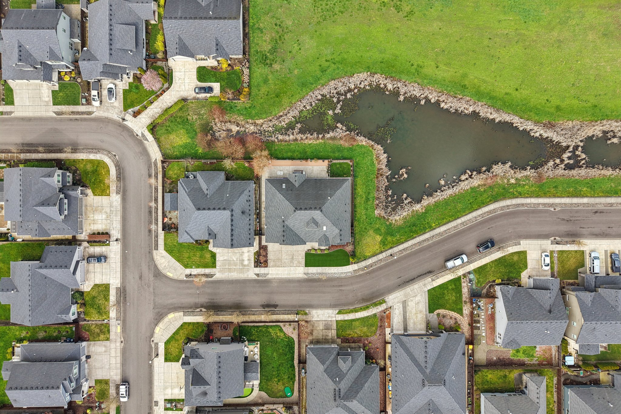 NE 113th St-L1003-053.jpg