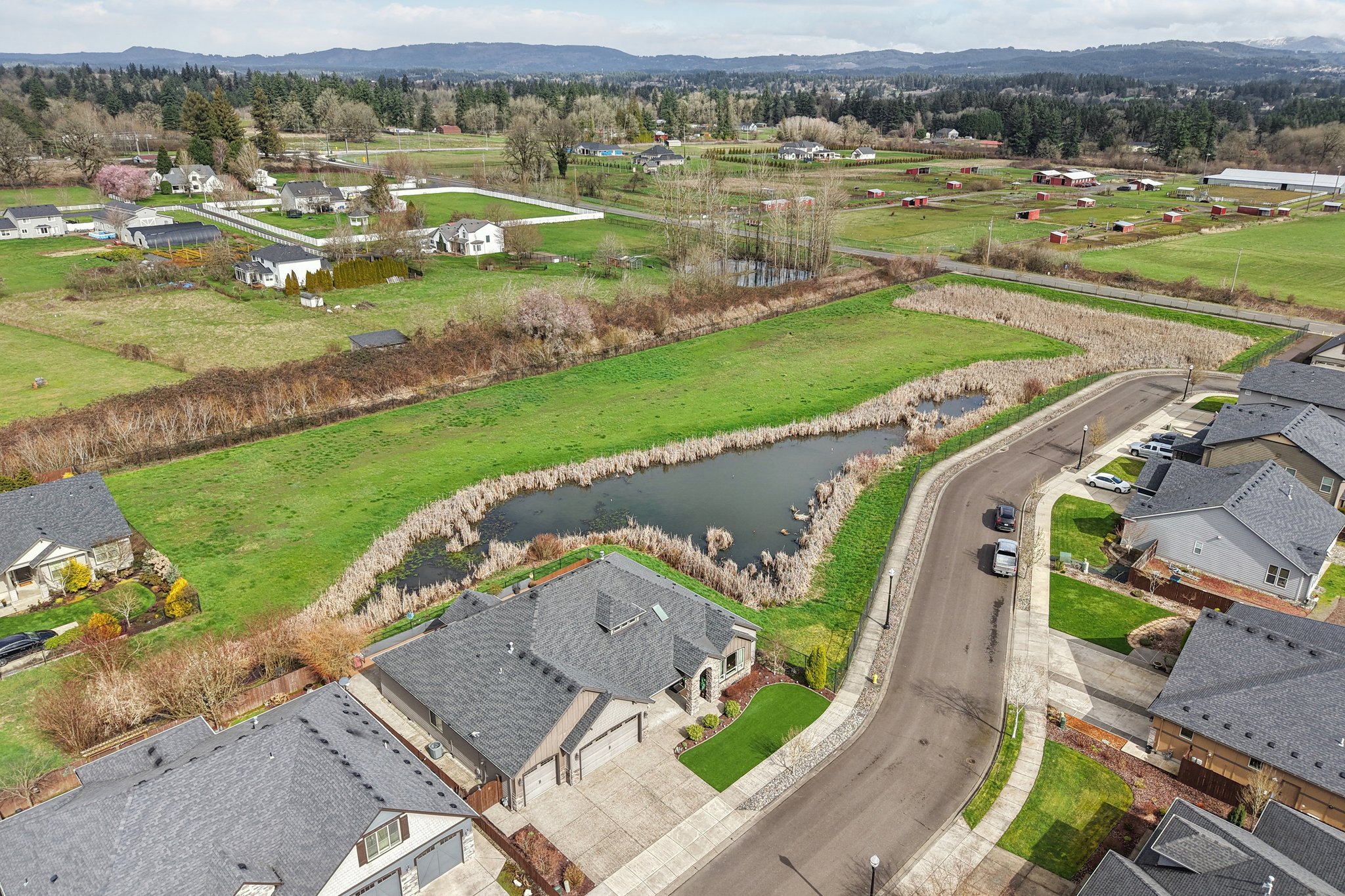 NE 113th St-L1003-054.jpg