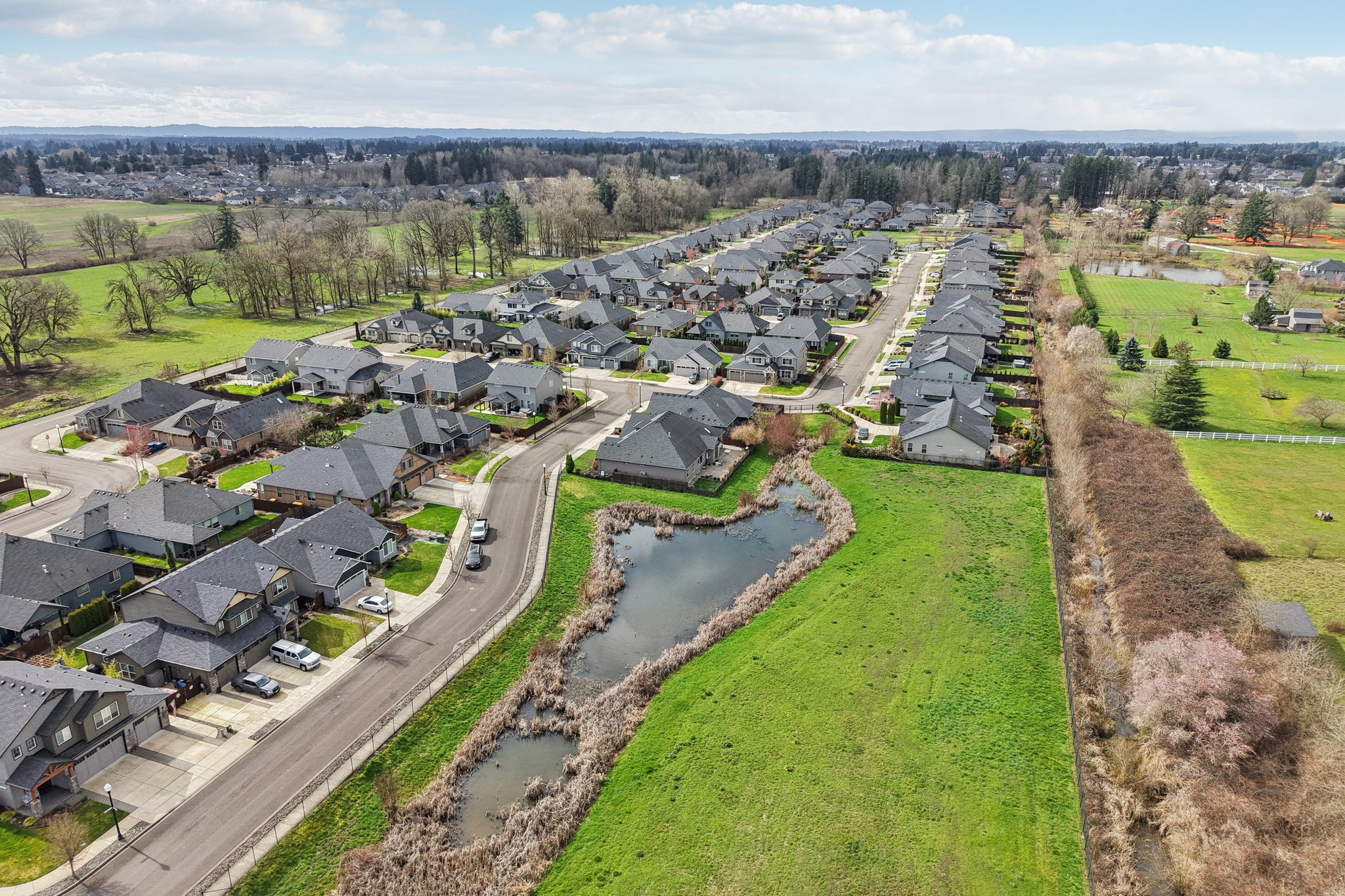 NE 113th St-L1003-057.jpg