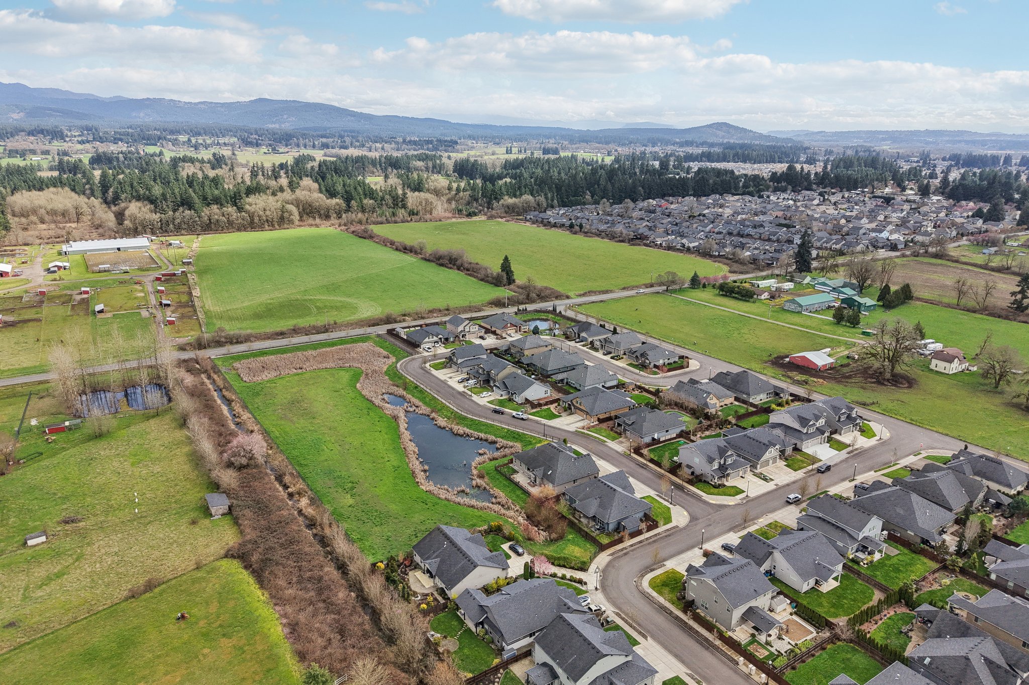 NE 113th St-L1003-059.jpg