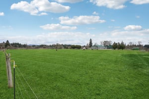 NE 113th St-L1003-046.jpg