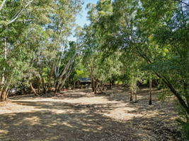  Photo 0