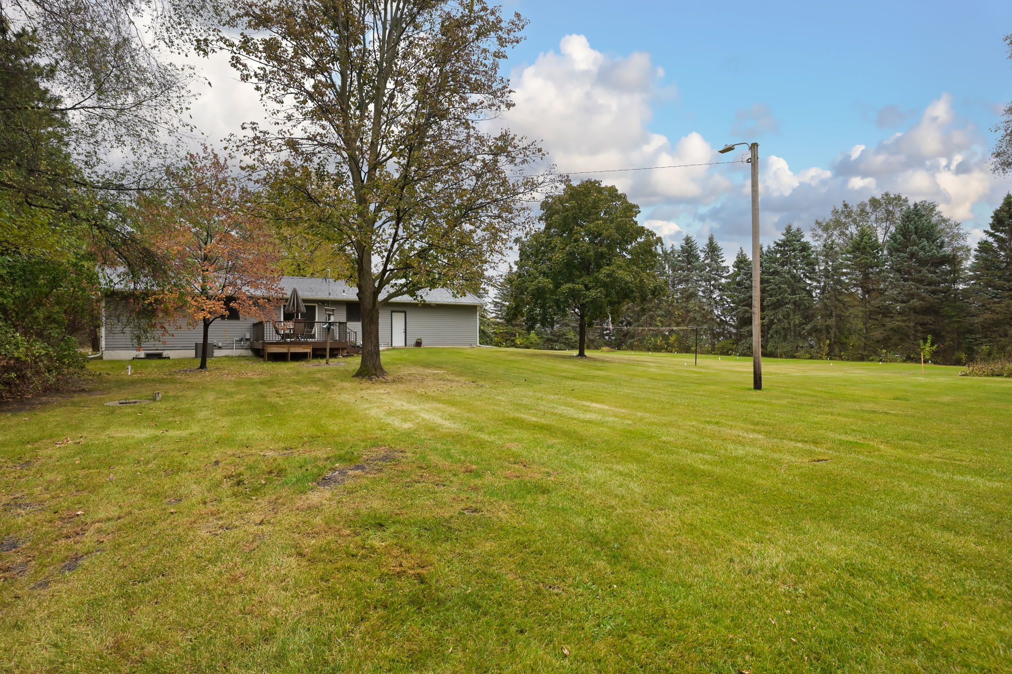 Photo 41