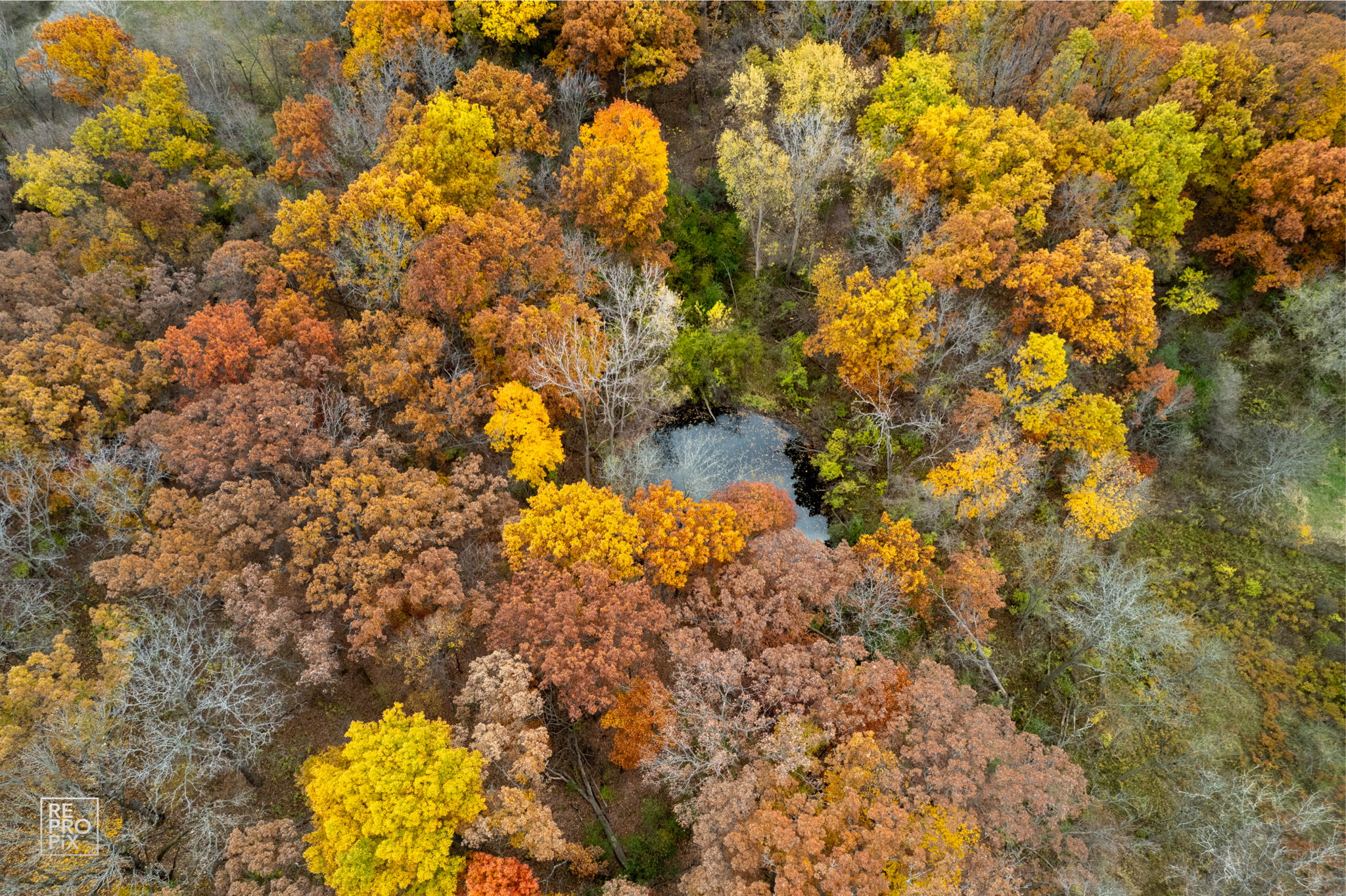 14930 W Wadsworth Rd, Wadsworth, IL 60083_049