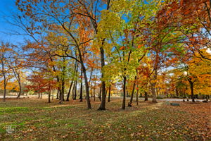 14930 W Wadsworth Rd, Wadsworth, IL 60083_047