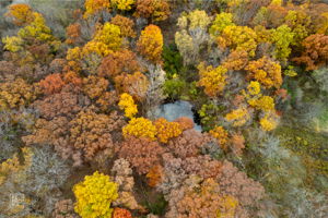 14930 W Wadsworth Rd, Wadsworth, IL 60083_049